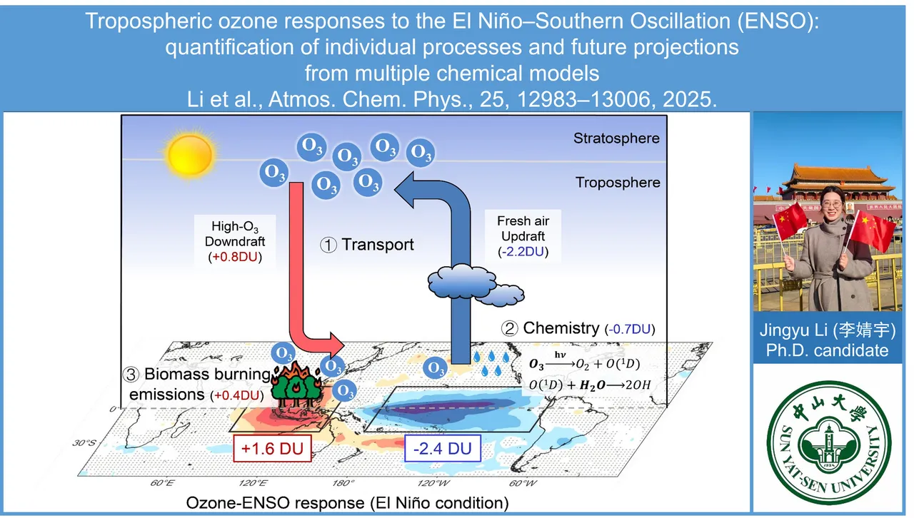 Tropospheric ozone responses to the El Niño–Southern Oscillation (ENSO): quantification of individual processes and future projections from multiple chemical models